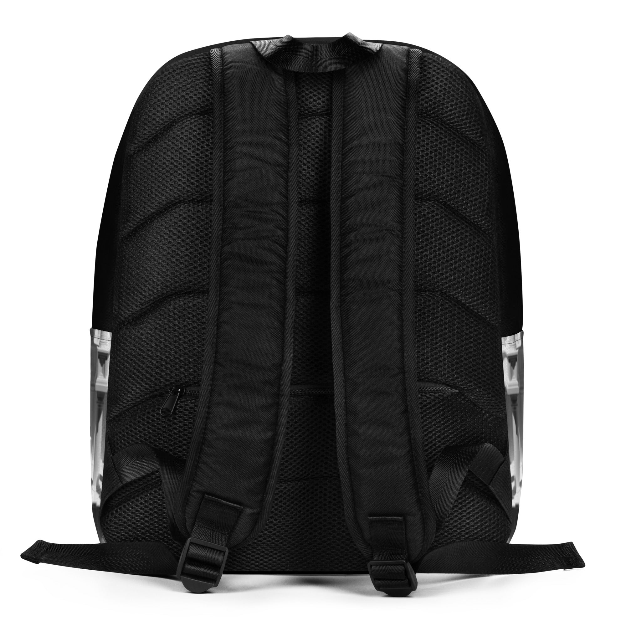 Aedicular Rucksack (Backpack)